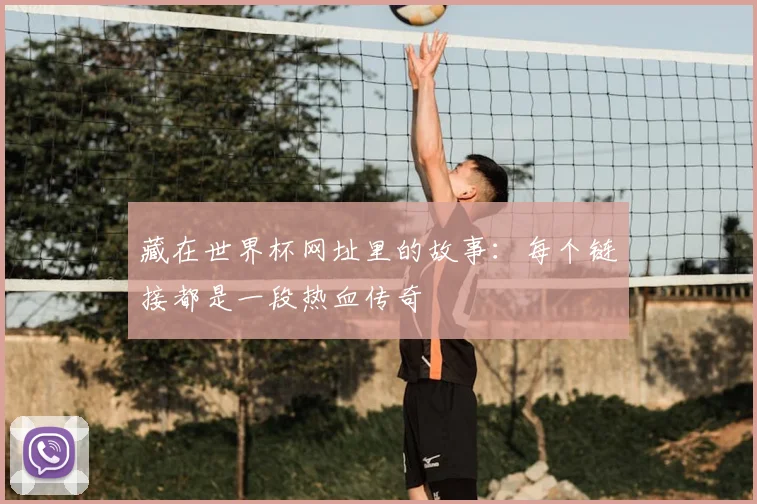 藏在世界杯网址里的故事：每个链接都是一段热血传奇