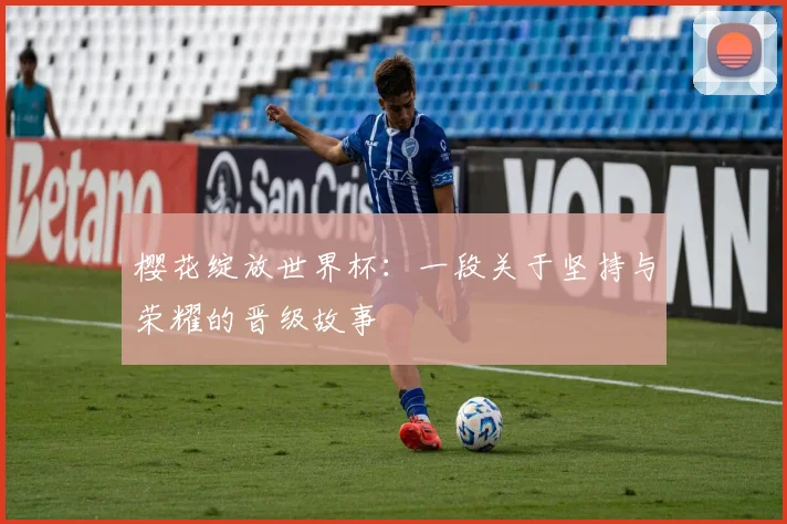 樱花绽放世界杯：一段关于坚持与荣耀的晋级故事