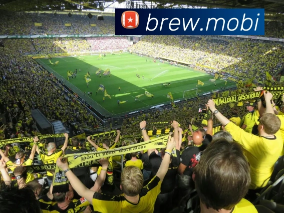 mksports登录入口平台生态图