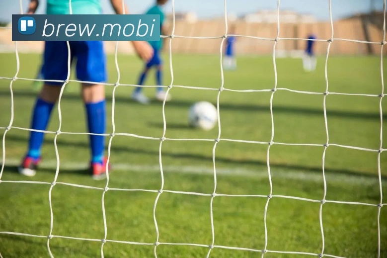 mksports登录入口全站App